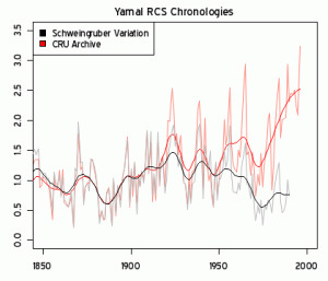 Yamal RCS Chronologies
